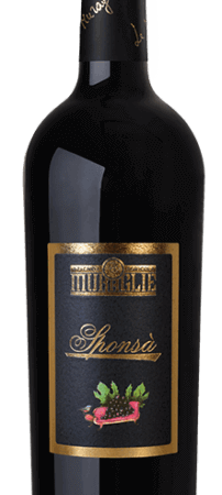 "Sponsà" IGT Verona