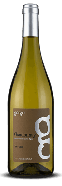 CHARDONNAY IGT