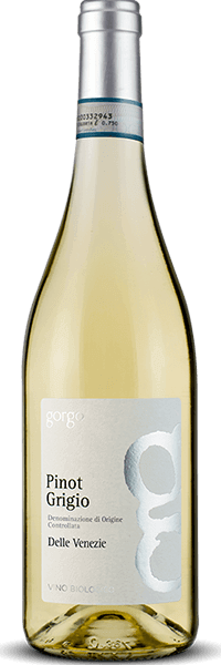 PINOT GRIGIO DOC