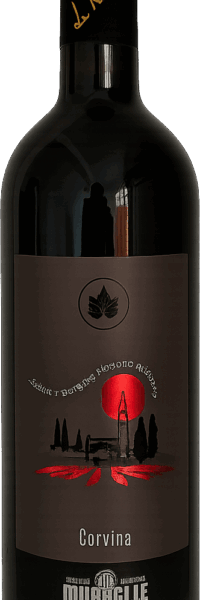 Corvina “Where dreams turn red ...”
